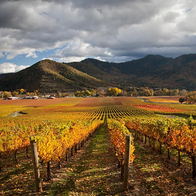 The Best Southern Oregon Wine Tours Start In Medford & The Rogue Valley